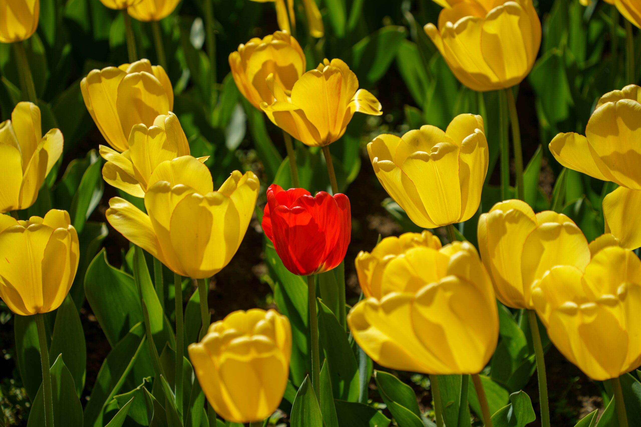 Avoiding the “ChatGPT Syndrome” Avoiding the “ChatGPT Syndrome”